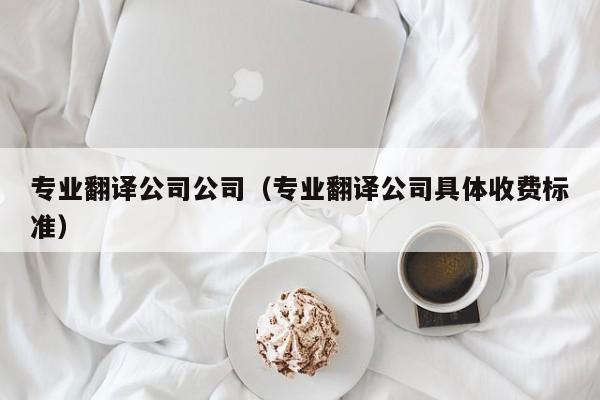 专业翻译公司公司（专业翻译公司具体收费标准）