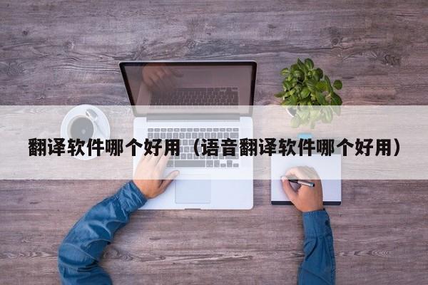 翻译软件哪个好用（语音翻译软件哪个好用）