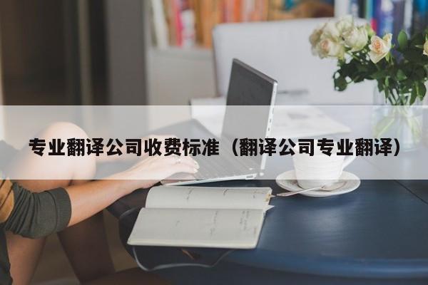 专业翻译公司收费标准（翻译公司专业翻译）