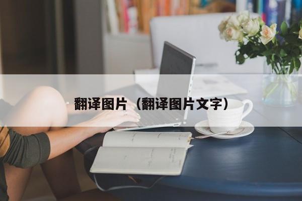 翻译图片（翻译图片文字）