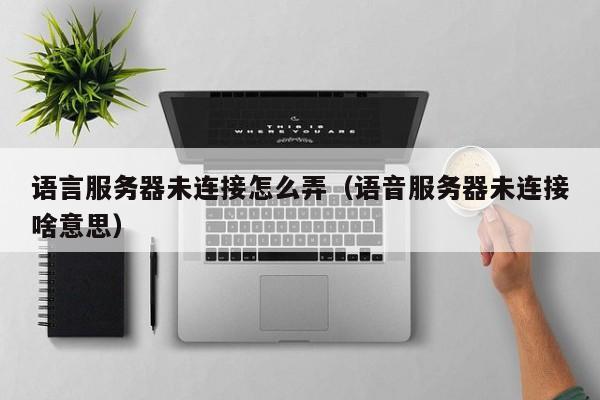 语言服务器未连接怎么弄（语音服务器未连接啥意思）