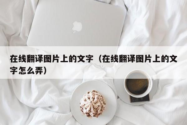 在线翻译图片上的文字（在线翻译图片上的文字怎么弄）