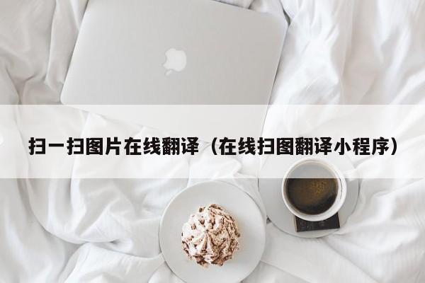 扫一扫图片在线翻译（在线扫图翻译小程序）