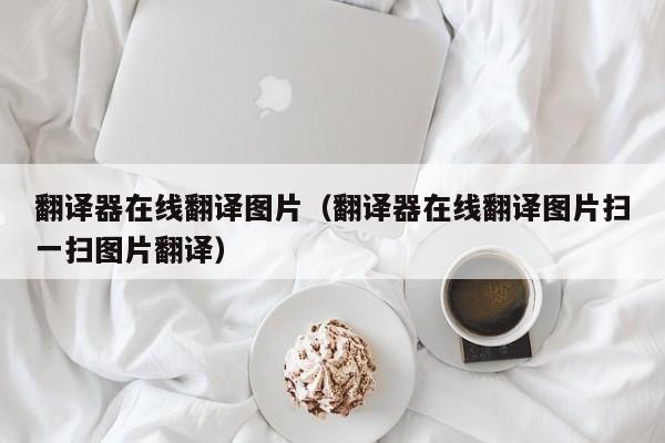 翻译器在线翻译图片（翻译器在线翻译图片扫一扫图片翻译）