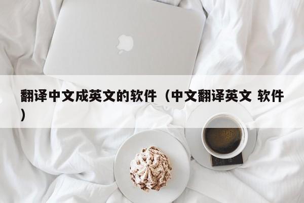 翻译中文成英文的软件（中文翻译英文 软件）