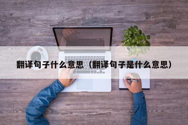 翻译句子什么意思（翻译句子是什么意思）
