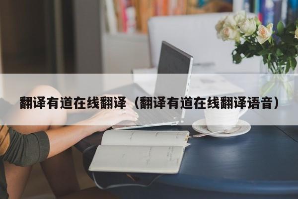 翻译有道在线翻译（翻译有道在线翻译语音）