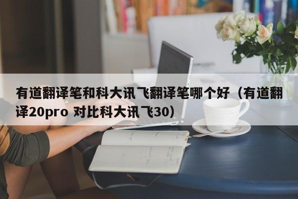有道翻译笔和科大讯飞翻译笔哪个好（有道翻译20pro 对比科大讯飞30）