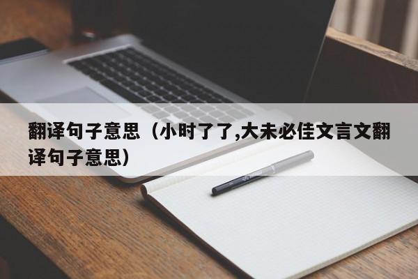 翻译句子意思（小时了了,大未必佳文言文翻译句子意思）