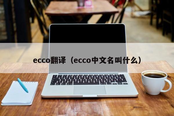 ecco翻译（ecco中文名叫什么）