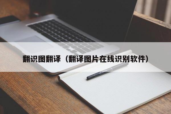 翻识图翻译（翻译图片在线识别软件）