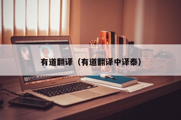 有道翻译（有道翻译中译泰）