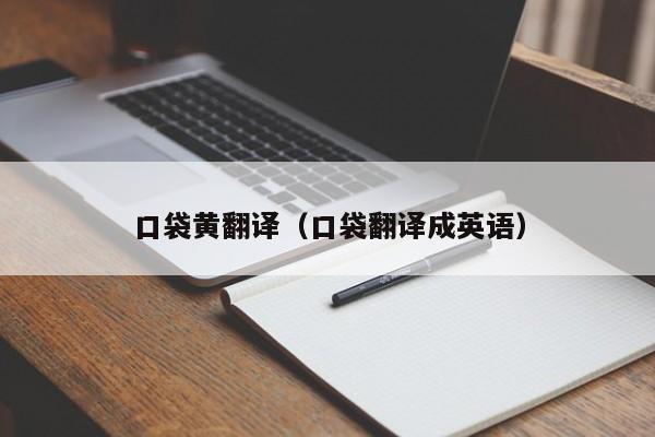 口袋黄翻译（口袋翻译成英语）