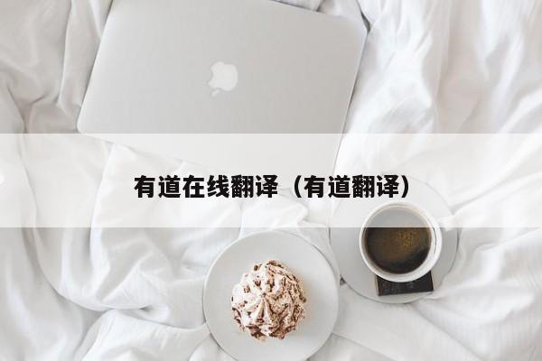 有道在线翻译（有道翻译）