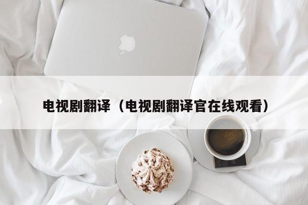 电视剧翻译（电视剧翻译官在线观看）