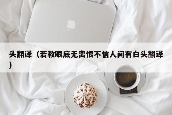 头翻译（若教眼底无离恨不信人间有白头翻译）