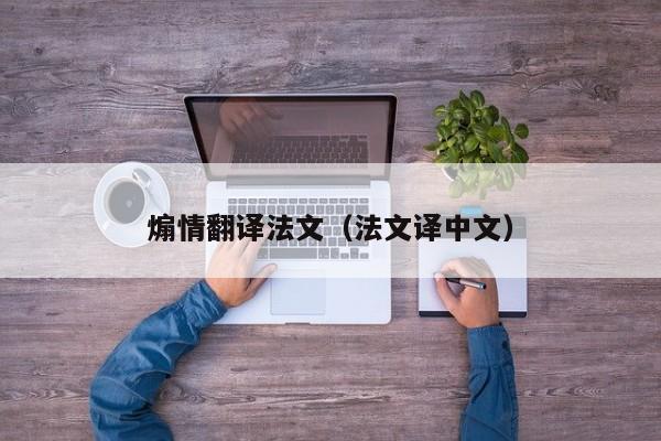 煽情翻译法文（法文译中文）