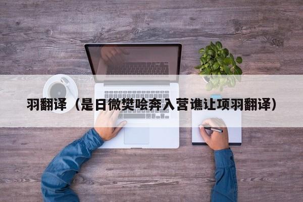 羽翻译（是日微樊哙奔入营谯让项羽翻译）